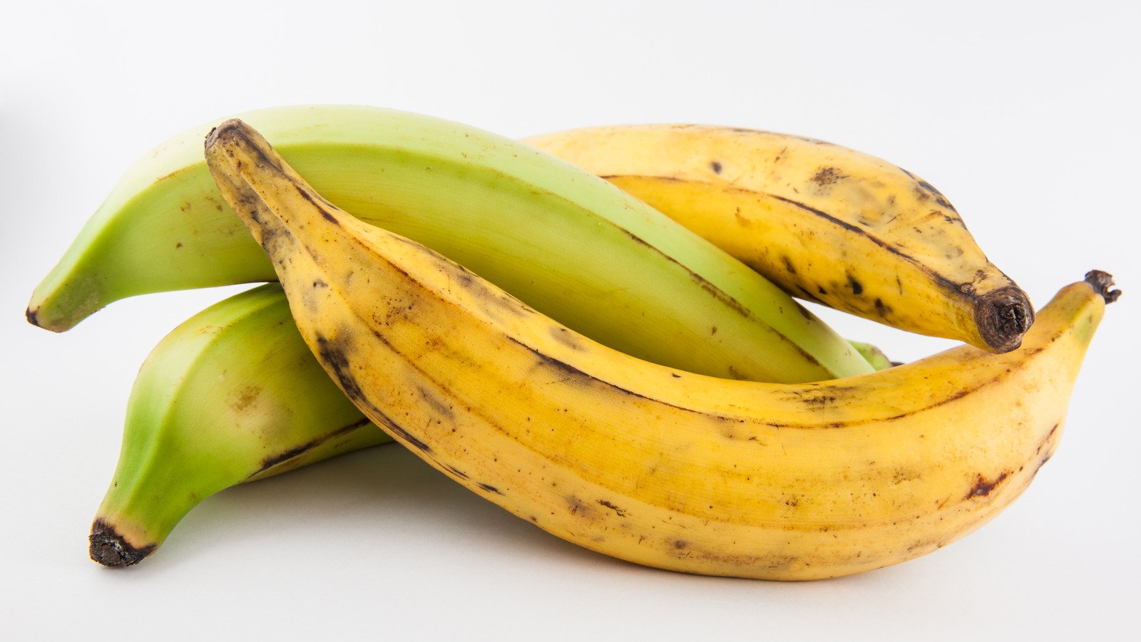 plantain or green banana (musa x paradisiaca)